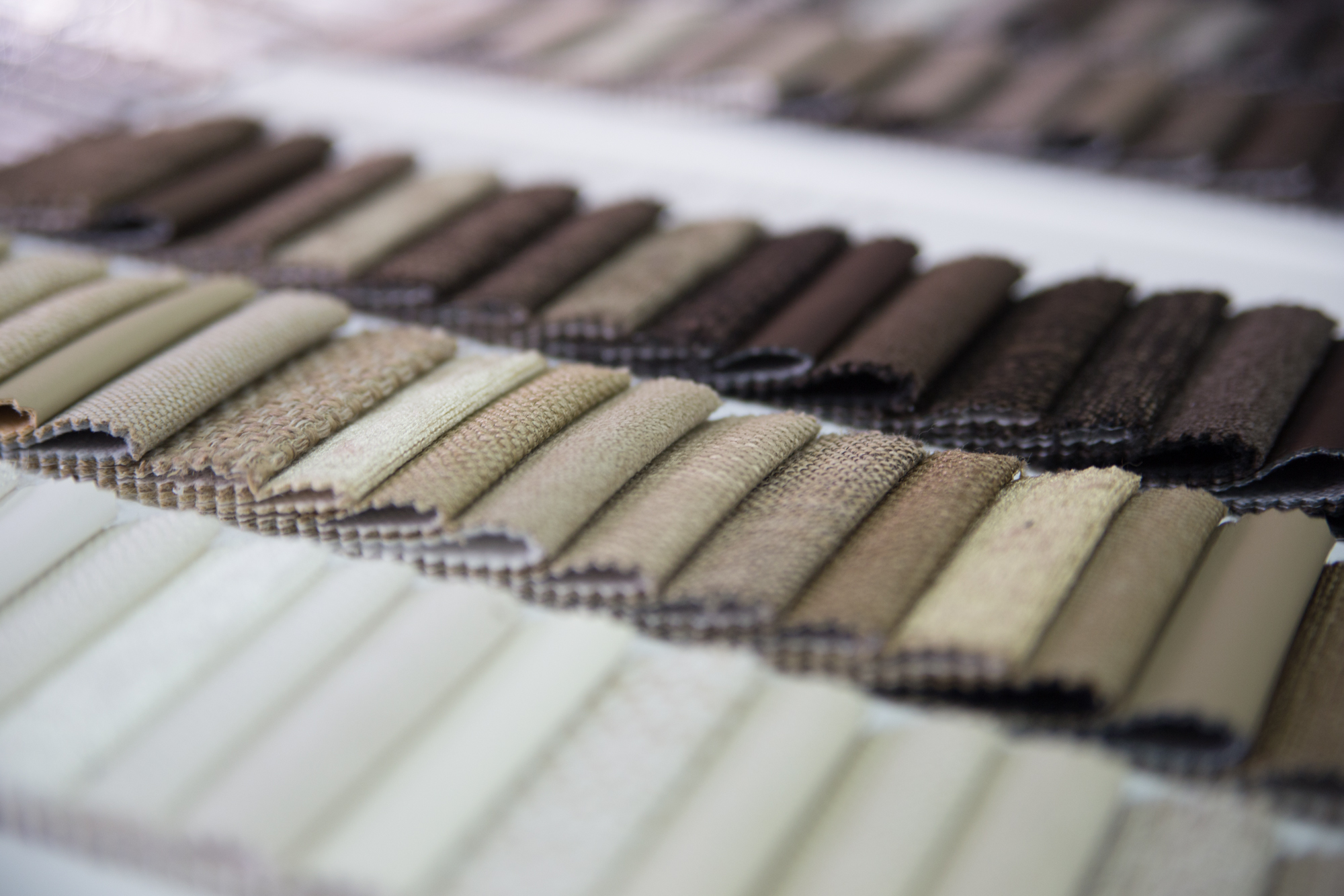 CÁLIDOS, COLORES TIERRA